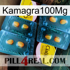 Kamagra100Mg cialis5